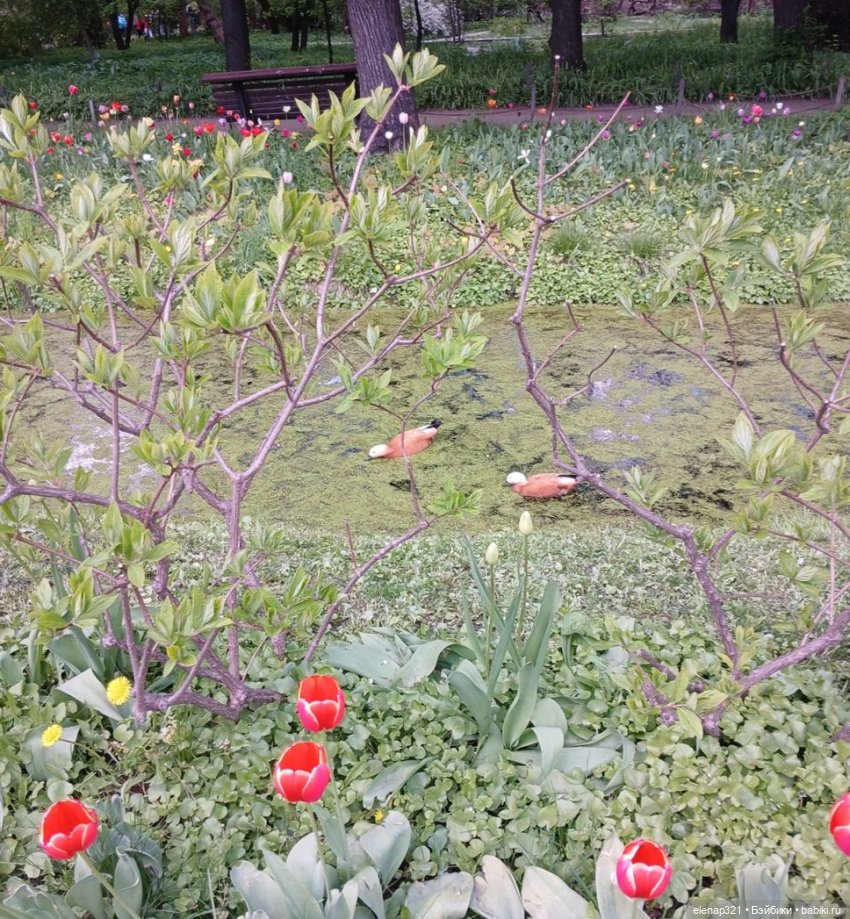 Аптекарский весной — Куклы BTS (БТС) от Mattel: K