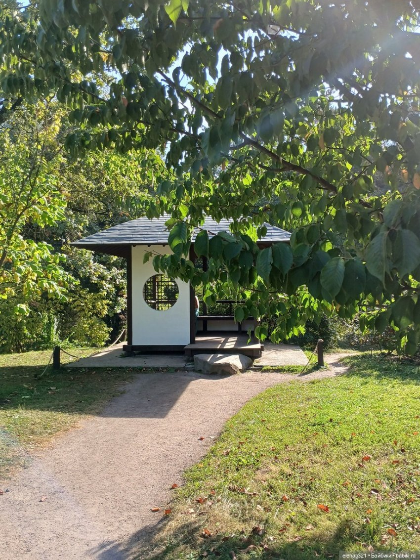 Парк Хуамин и Японский сад (фото 10)