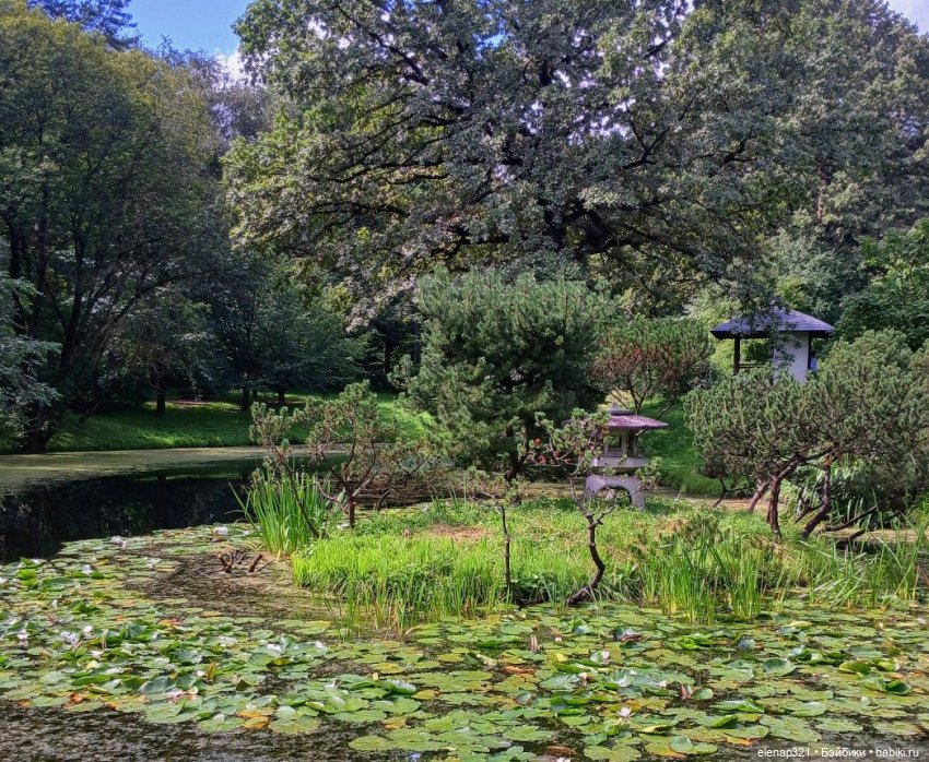 Парк Хуамин и Японский сад