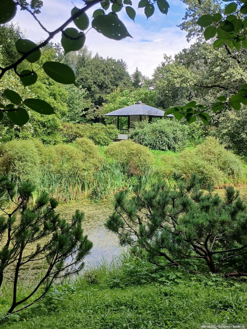 Парк Хуамин и Японский сад (фото 9)