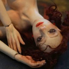 Rose - огненная красавица