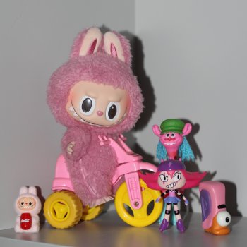 На полочке у Лабубуши