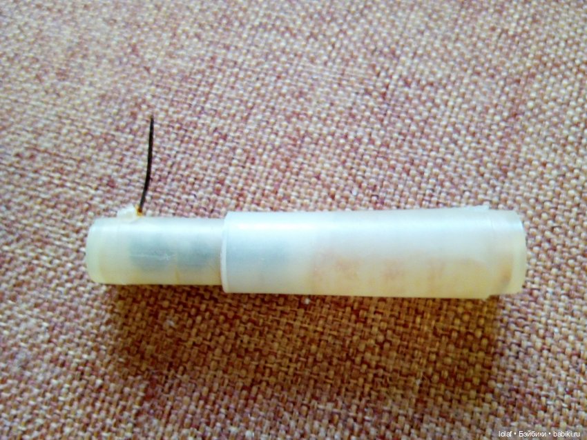 Re: Найдёныши - Маринка, как картинка, на выставку идет (фото 2)