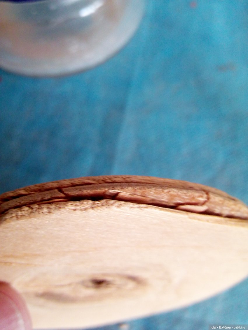 «…У тебя лапки повернуты вниз как у меня! Брат!!!!» (фото 6)