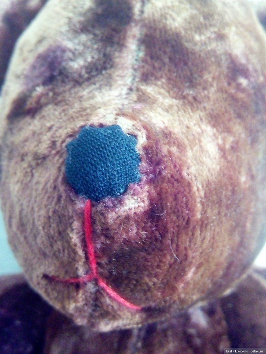 «…У тебя лапки повернуты вниз как у меня! Брат!!!!» (фото 8)