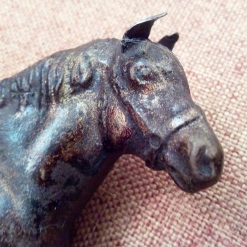 Купила Оля коника