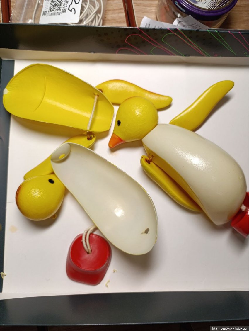 А жёлтые пингвины греют летом спины… (фото 2)