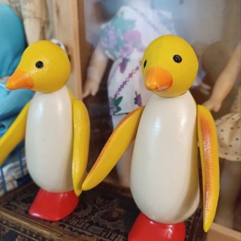 А жёлтые пингвины греют летом спины…