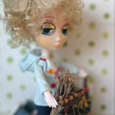 Домашний Маленький Принц