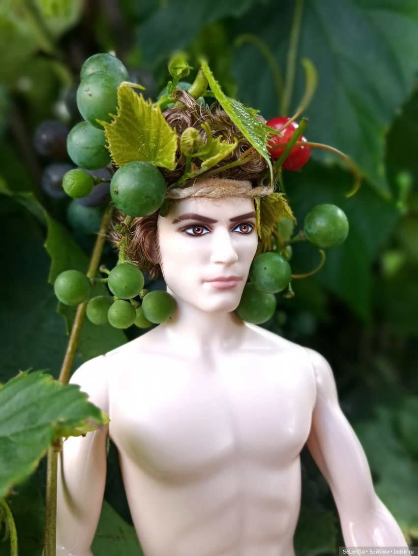 Первый сон Дианы. Дионис — Куклы Barbie (Барби): Looks