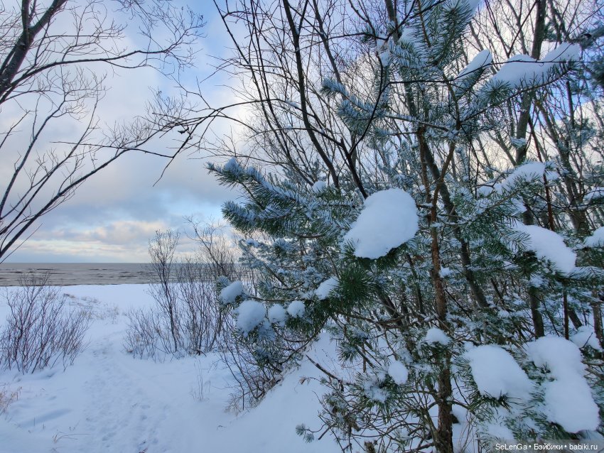 Дружок — Кукольные фотоистории и сериалы: комиксы