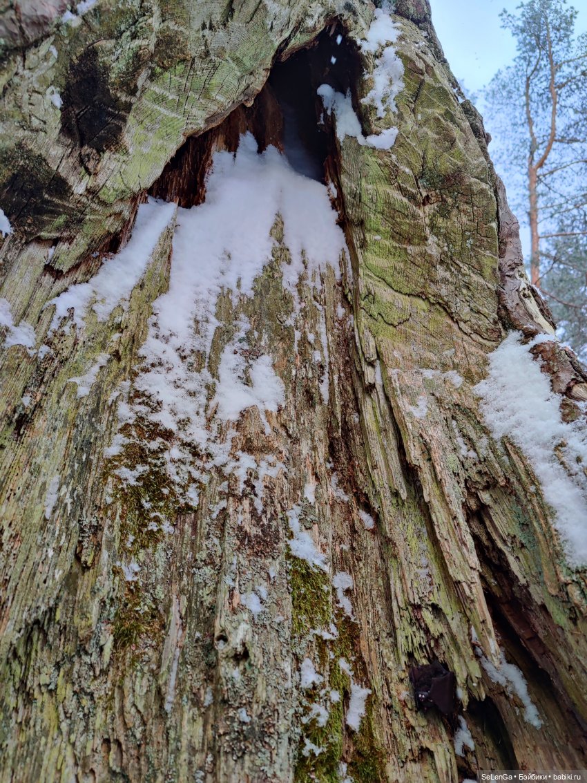 Дружок — Кукольные фотоистории и сериалы: комиксы (фото 2)