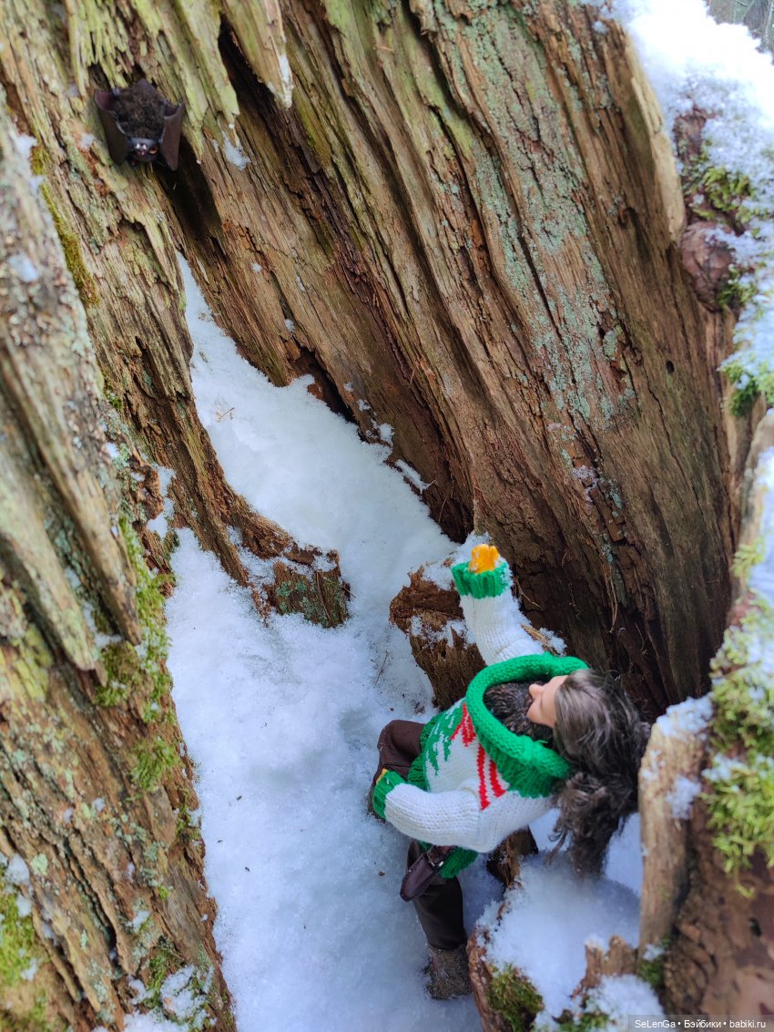 Дружок — Кукольные фотоистории и сериалы: комиксы (фото 5)