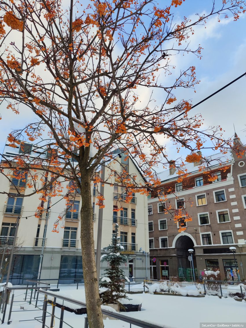 Старая Рига. #путешествуем с Хагридом