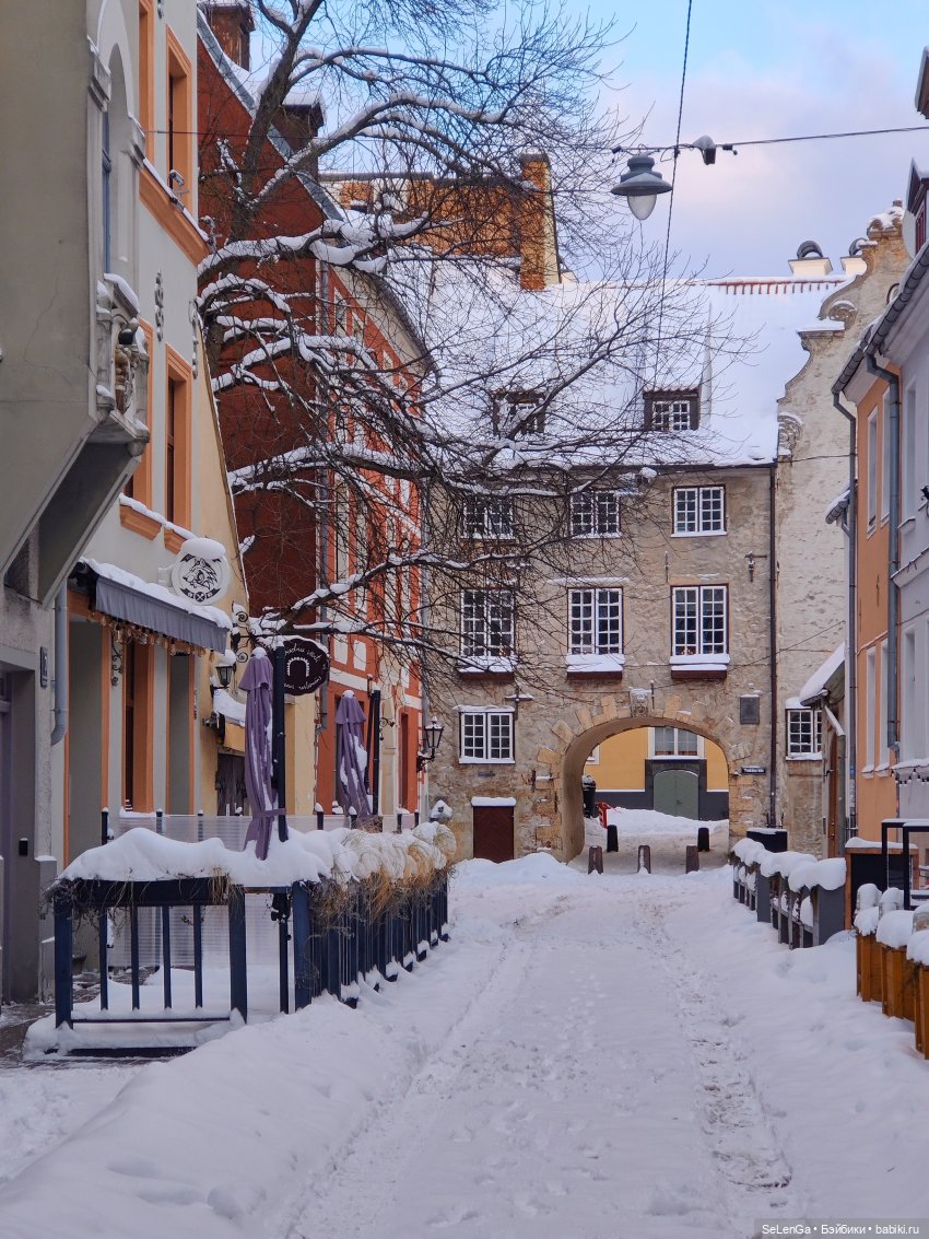 Старая Рига. #путешествуем с Хагридом (фото 2)