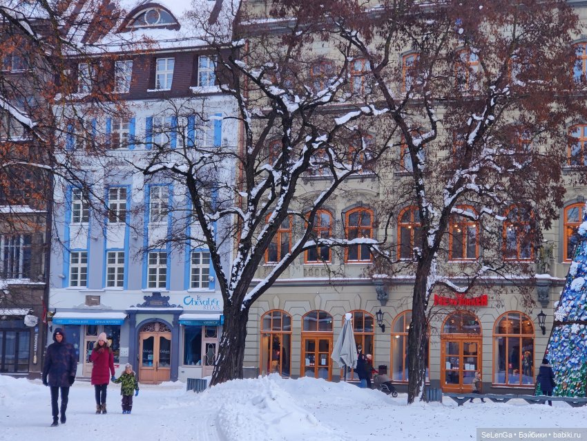 Старая Рига. #путешествуем с Хагридом