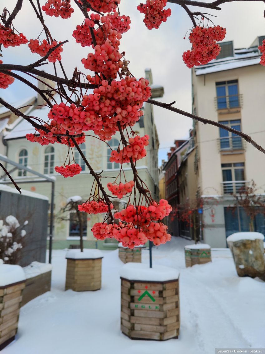 Старая Рига. #путешествуем с Хагридом