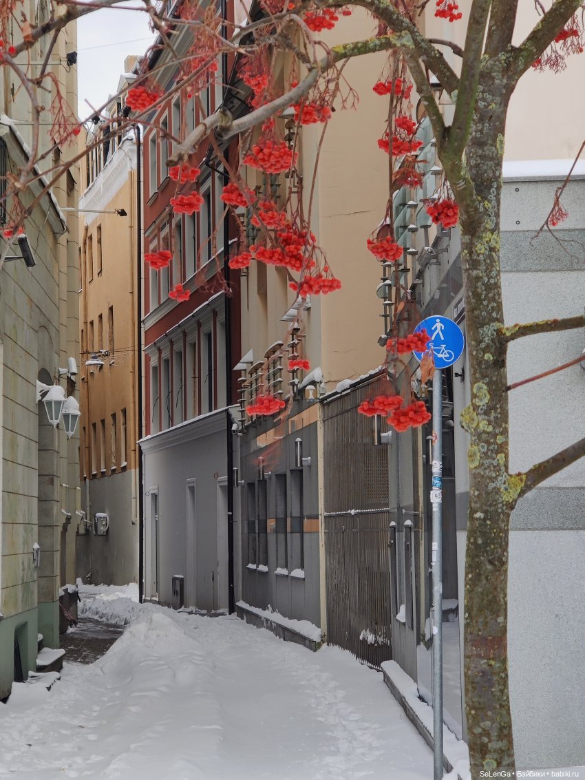 Старая Рига. #путешествуем с Хагридом