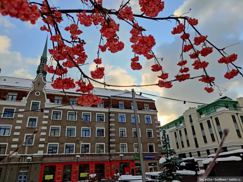 Старая Рига. #путешествуем с Хагридом