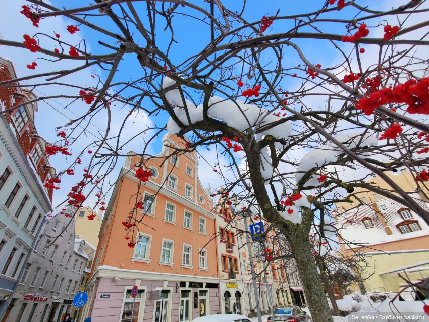 Старая Рига. #путешествуем с Хагридом