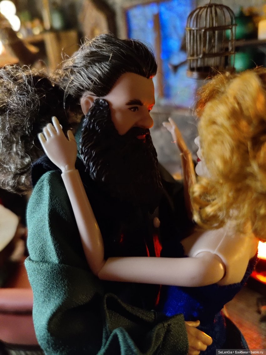 Новоселье в хижине Хагрида