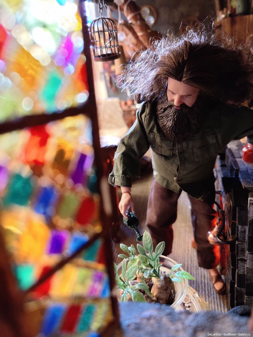 Новоселье в хижине Хагрида (фото 9)