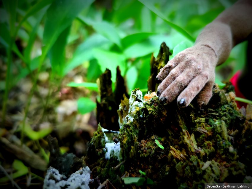 Воспоминания о празднике рождения цветов (фото 5)