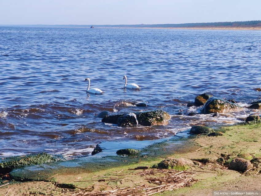 Маяк. Балтика. Дамиано — Куклы Integrity Toys (Интегрити): Poppy Parker (фото 6)