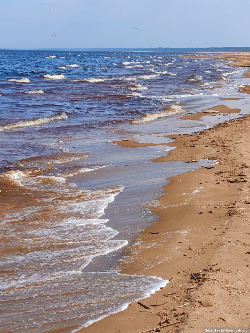 Маяк. Балтика. Дамиано — Куклы Integrity Toys (Интегрити): Poppy Parker