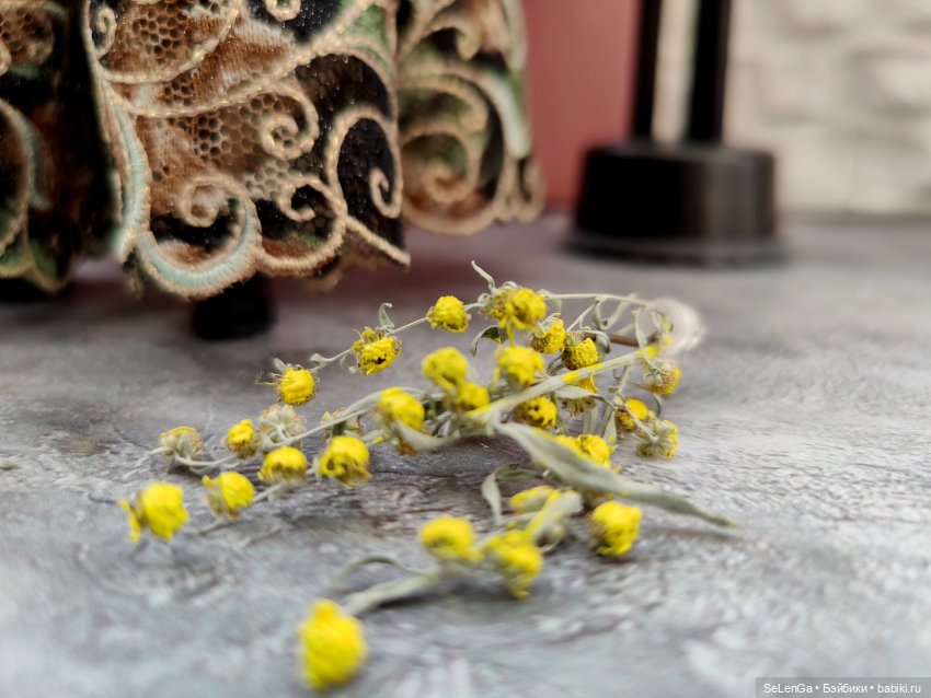 🎉АвгустФест2023. Мастер и Маргарита. Отрывок