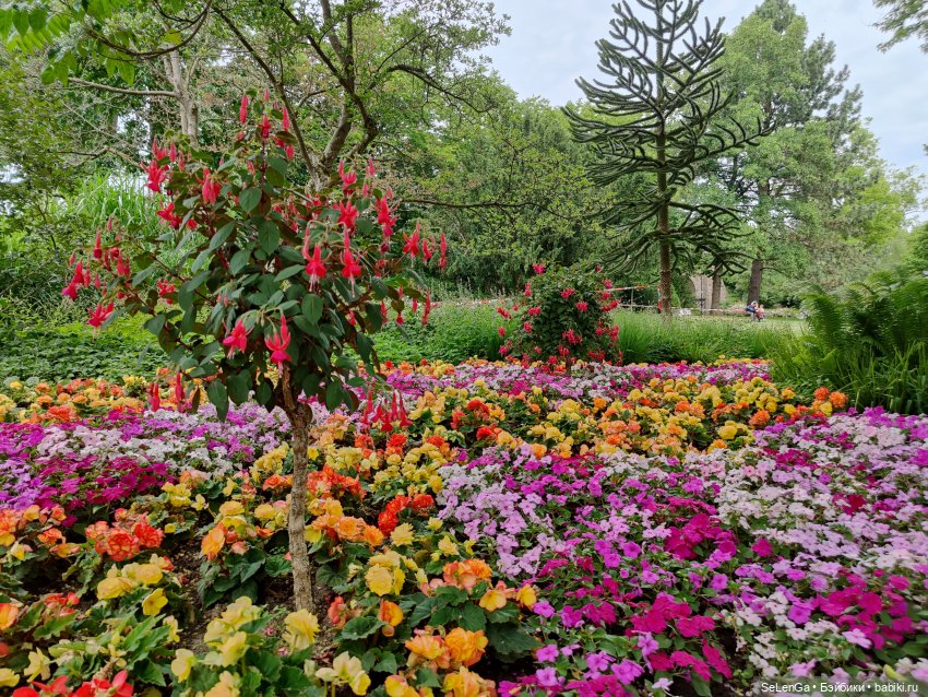 Город Зиген (земля Северный Рейн-Вестфалия, Германия). #путешествуем с куклами