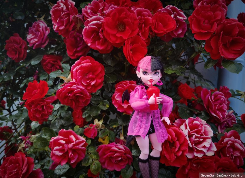 🌹Дракулаура🌹 — Куклы Monster High и Ever After High: G1 (фото 4)