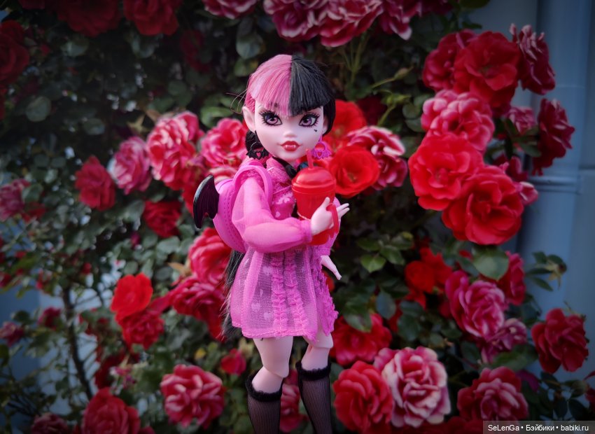🌹Дракулаура🌹 — Куклы Monster High и Ever After High: G1 (фото 5)