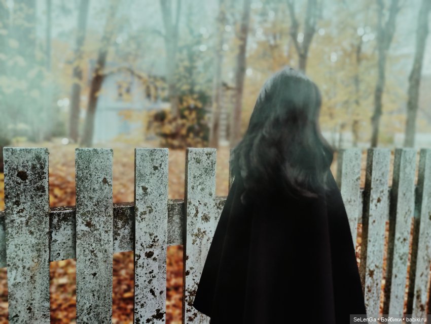 Любовь Дамблдора — Кукольные фотоистории и сериалы: комиксы (фото 2)