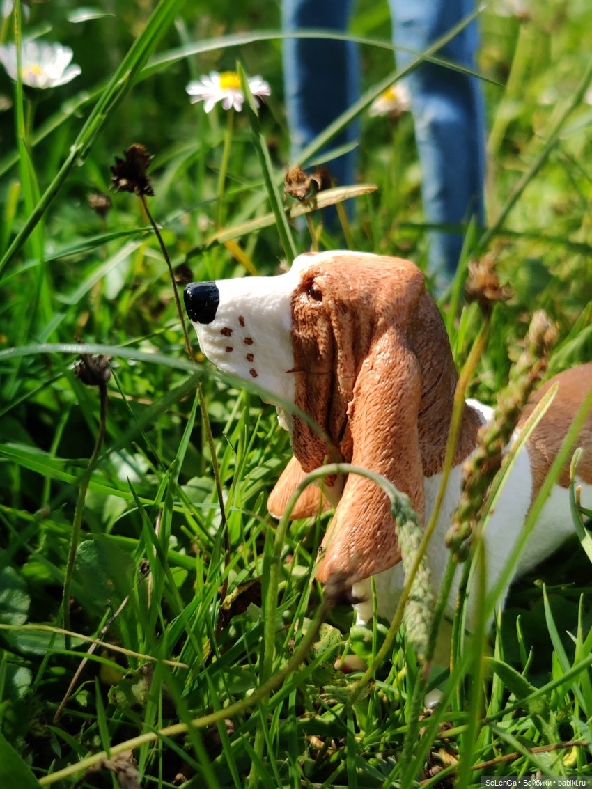 Парень со сложным лицом — Куклы Integrity Toys (Интегрити): Poppy Parker