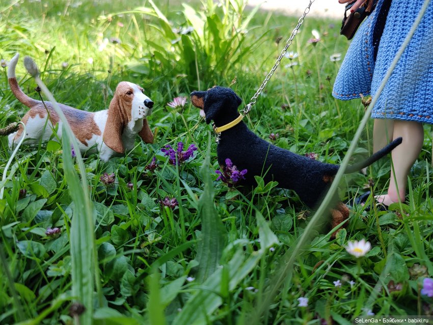 Парень со сложным лицом — Куклы Integrity Toys (Интегрити): Poppy Parker