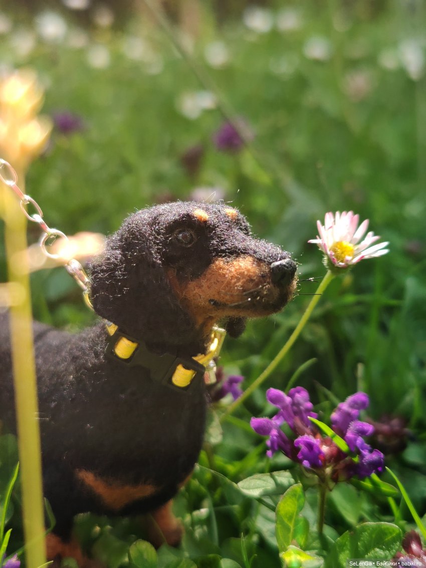 Парень со сложным лицом — Куклы Integrity Toys (Интегрити): Poppy Parker