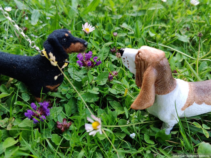 Парень со сложным лицом — Куклы Integrity Toys (Интегрити): Poppy Parker