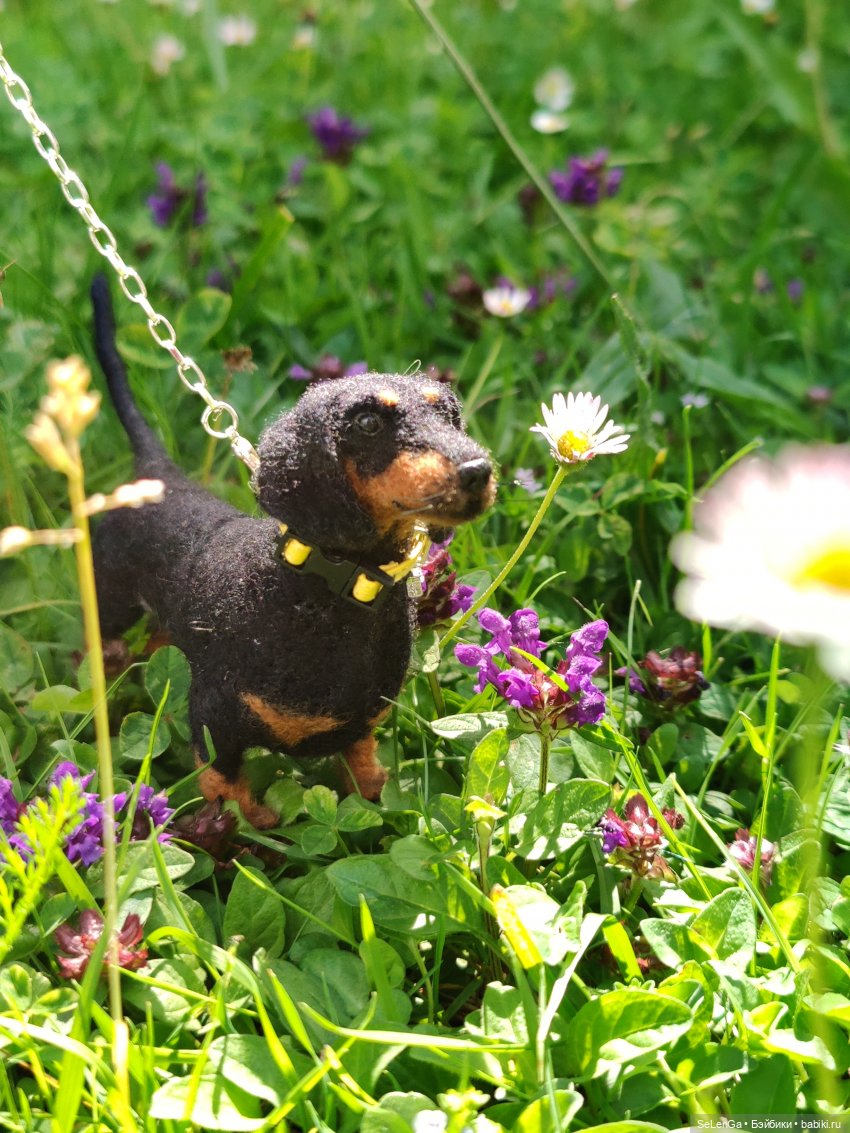 Парень со сложным лицом — Куклы Integrity Toys (Интегрити): Poppy Parker