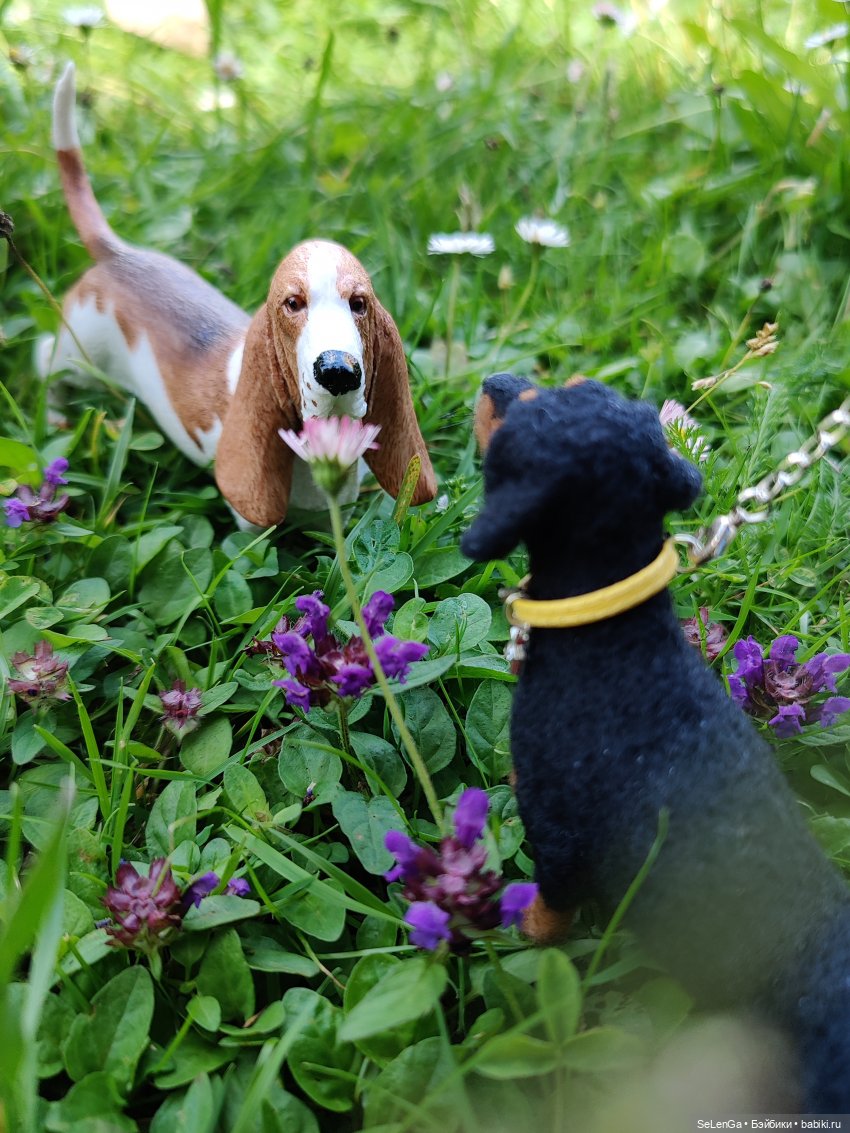 Парень со сложным лицом — Куклы Integrity Toys (Интегрити): Poppy Parker