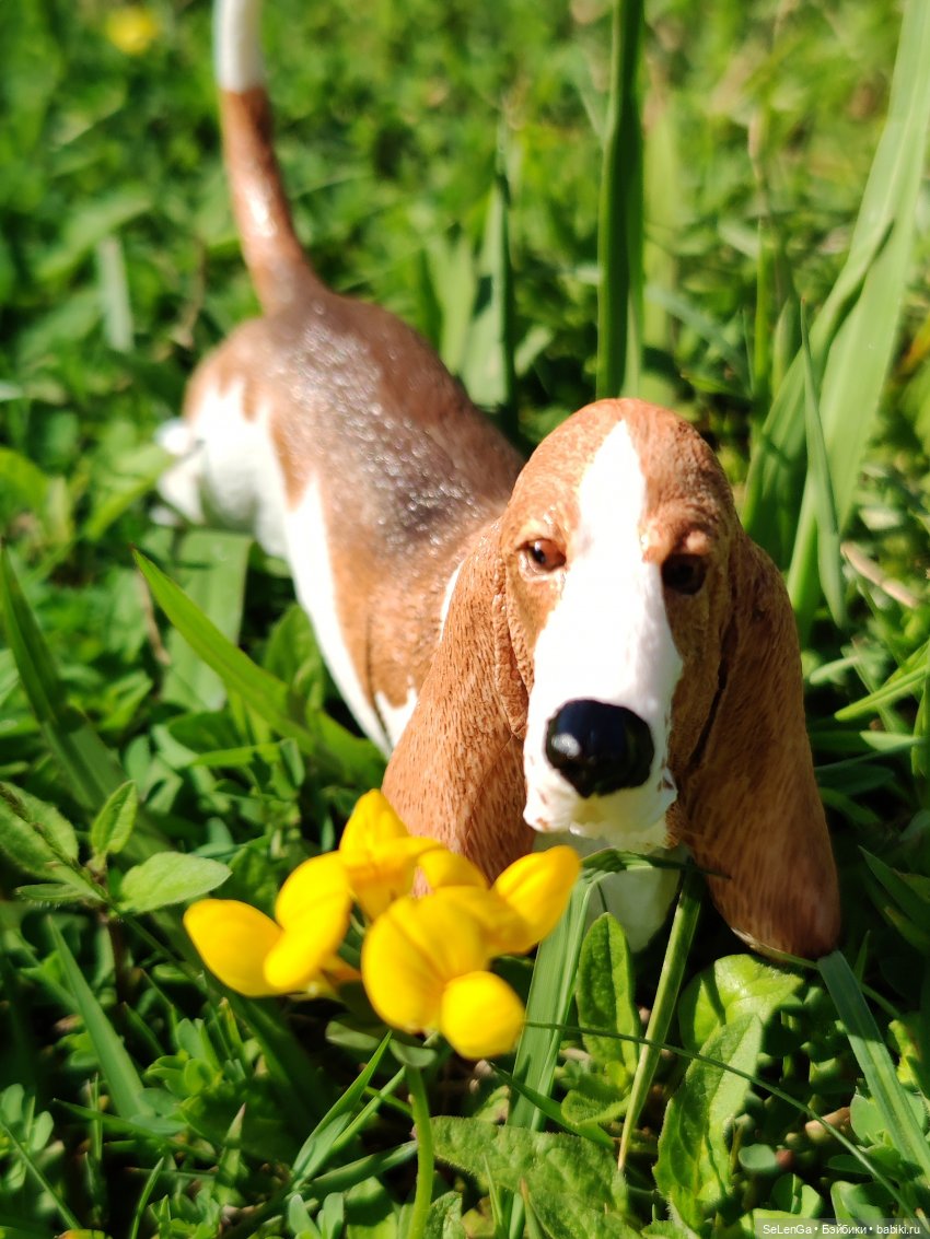 Парень со сложным лицом — Куклы Integrity Toys (Интегрити): Poppy Parker (фото 6)