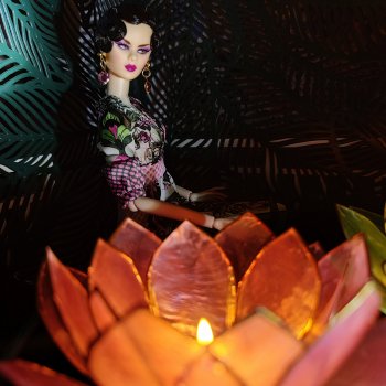 Волшебные лотосы