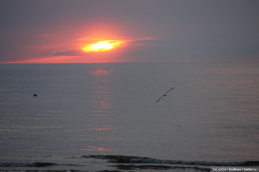 Жизнь на море. Балтика, моя палитра | Бэйбики Жизнь на море. Балтика, моя палитра