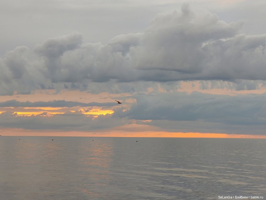 Жизнь на море. Балтика, моя палитра | Бэйбики Жизнь на море. Балтика, моя палитра