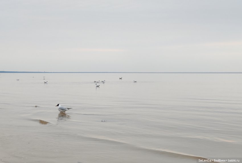 Жизнь на море. Балтика, моя палитра | Бэйбики Жизнь на море. Балтика, моя палитра (фото 7)