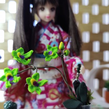 Дженни и орхидеи