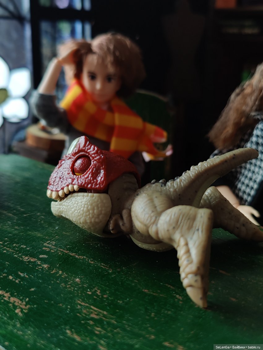 Чем иногда оборачивается лечение зверушек (фото 10)