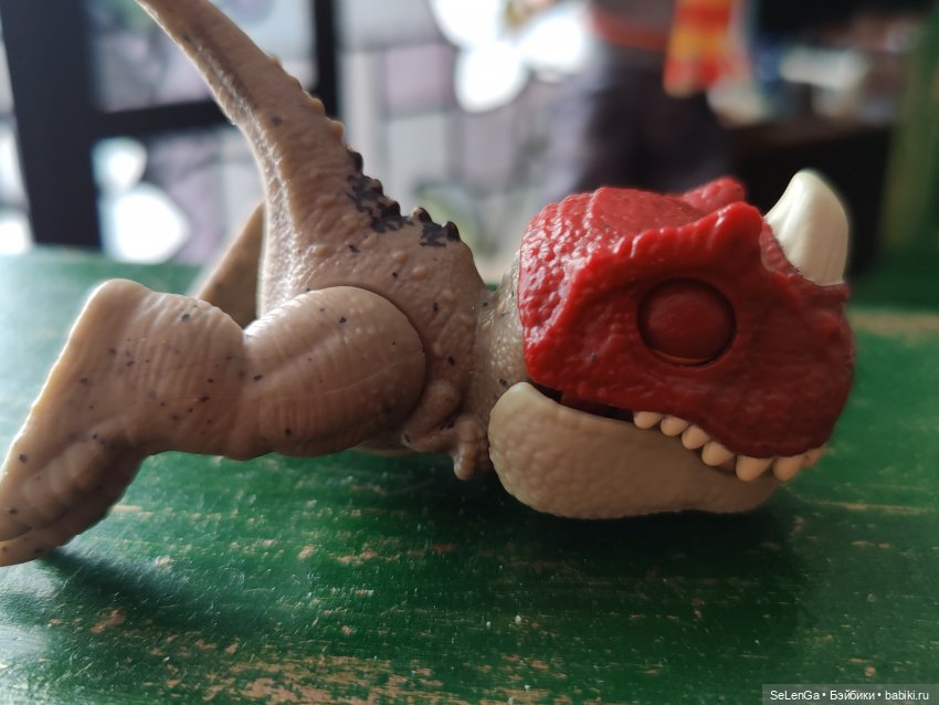 Чем иногда оборачивается лечение зверушек (фото 9)