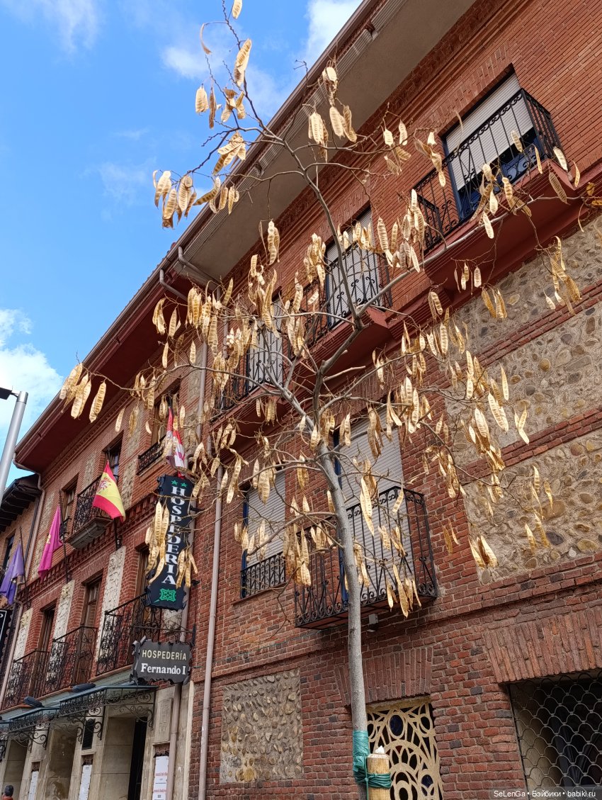 Г. Леон, Леонский собор и Базилика Сан-Исидоро #Испания