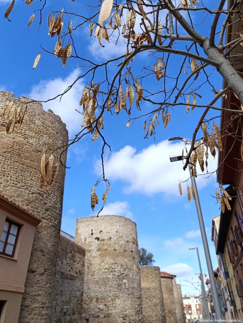 Г. Леон, Леонский собор и Базилика Сан-Исидоро #Испания